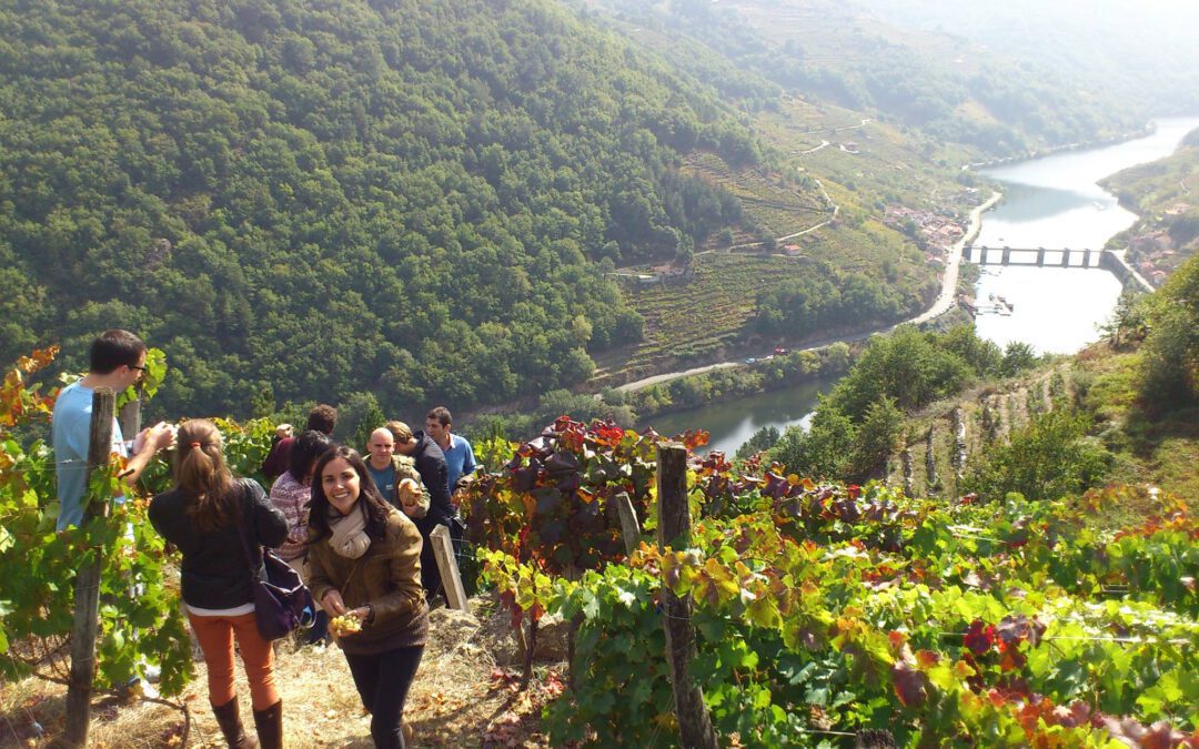 Viajes alrededor de la cultura del vino
