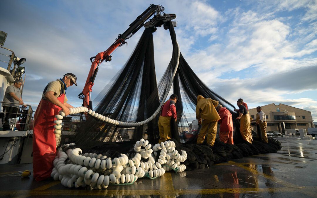 Visitas guiadas alrededor de la pesca
